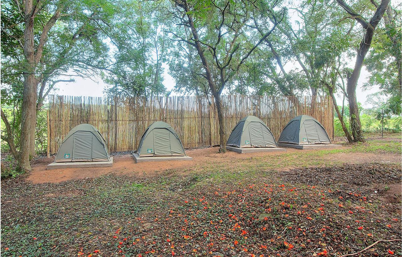 Kruger Adventure Lodge Hazyview Exterior foto